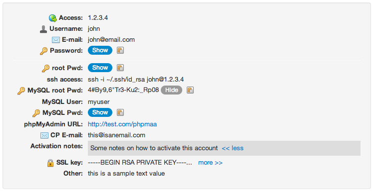 A password with custom fields