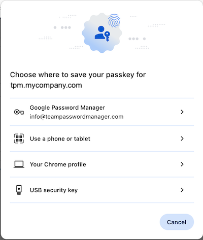 Browser passkey options